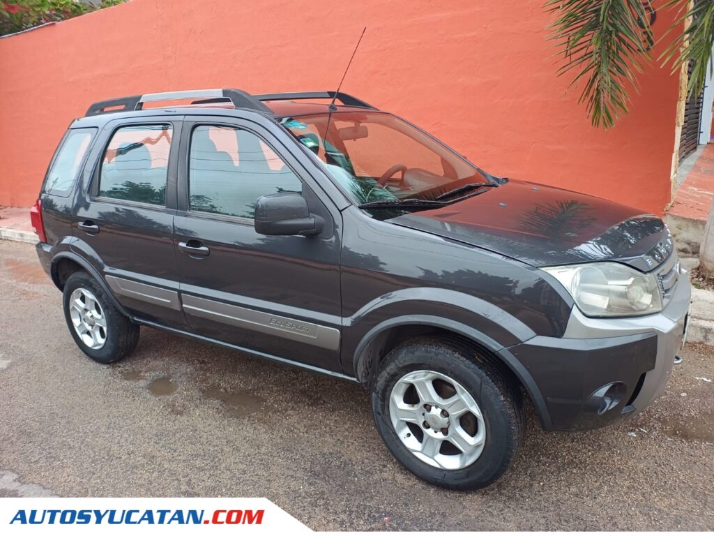 Ecosport 2011