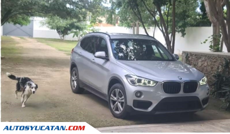 BMW X1 (2019) Motor 1.5 (3 cilindros)