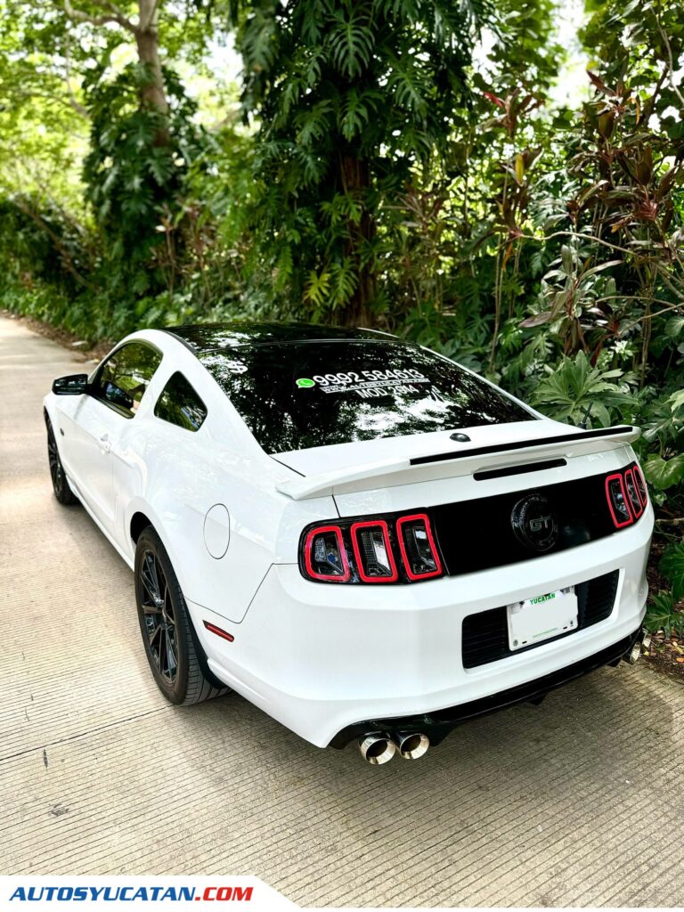 Ford Mustang GT 5.0 2014