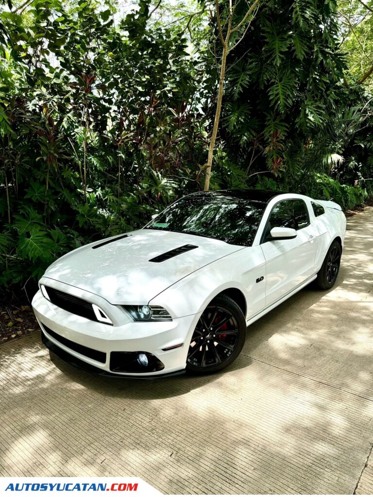 Ford Mustang GT 5.0 2014