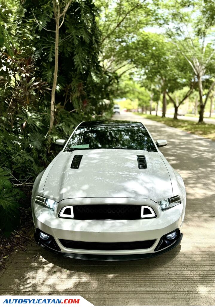Ford Mustang GT 5.0 2014