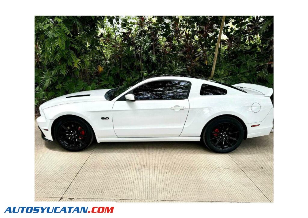 Ford Mustang GT 5.0 2014