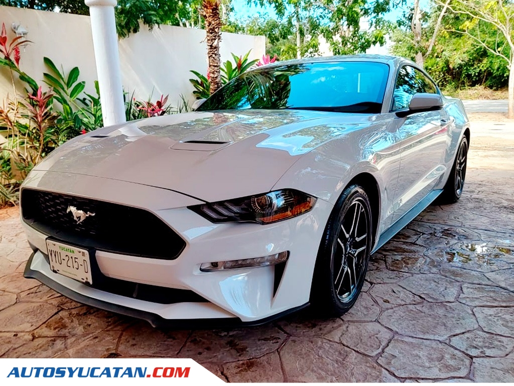 Ford Mustang 2.3 Ecoboost 2019