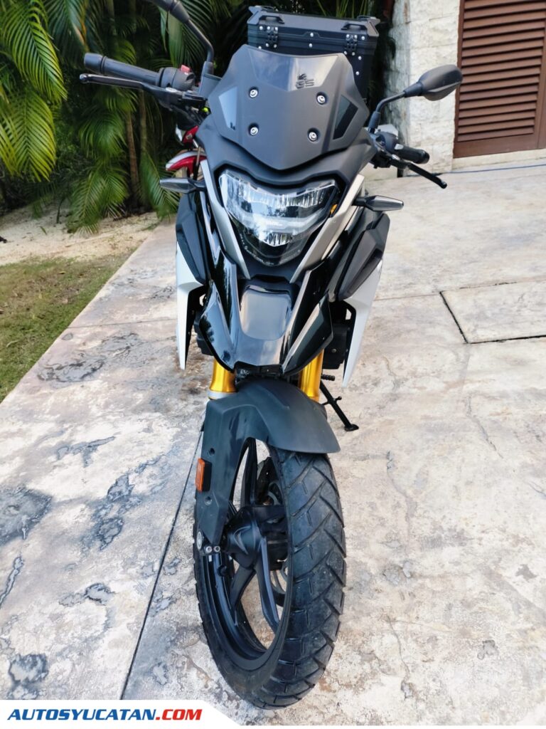G 310 GS Multipropósito